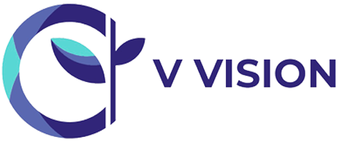 V Vision
